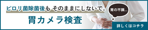 ピロリ菌除菌後もそのままにしないで。胃カメラ検査
